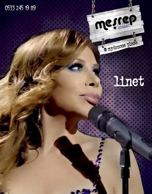 linetmesrep