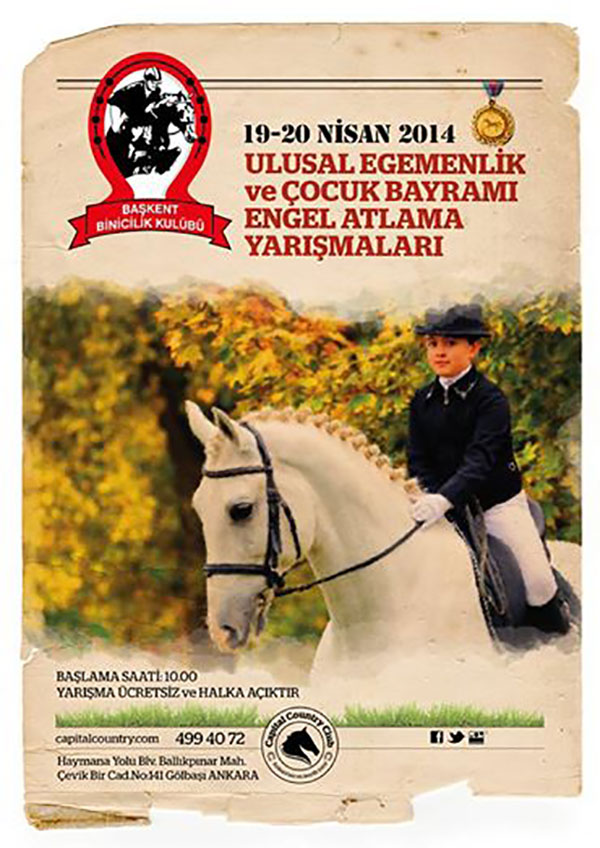 binicilik18.04.201401